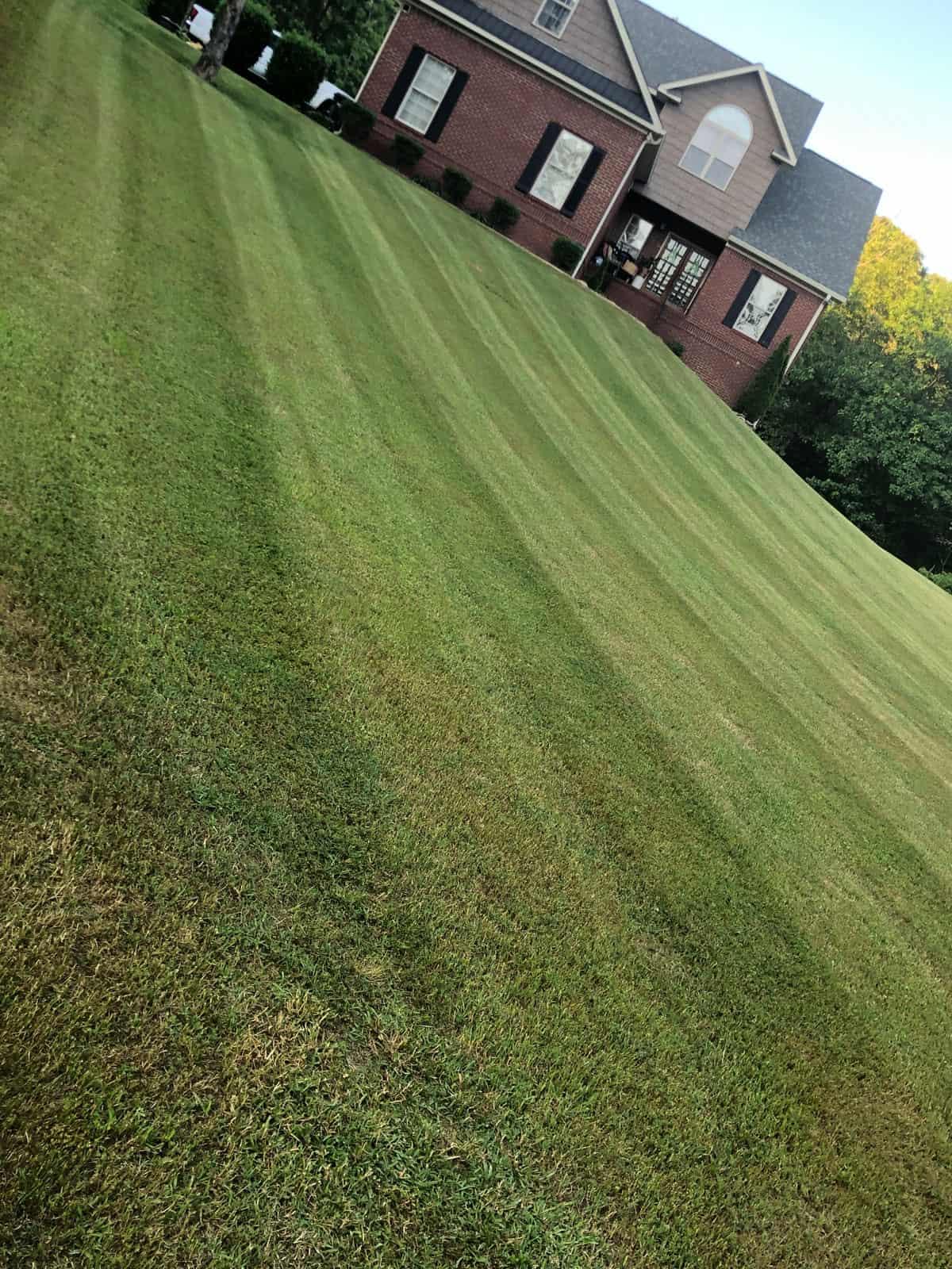 lawn care, mowing