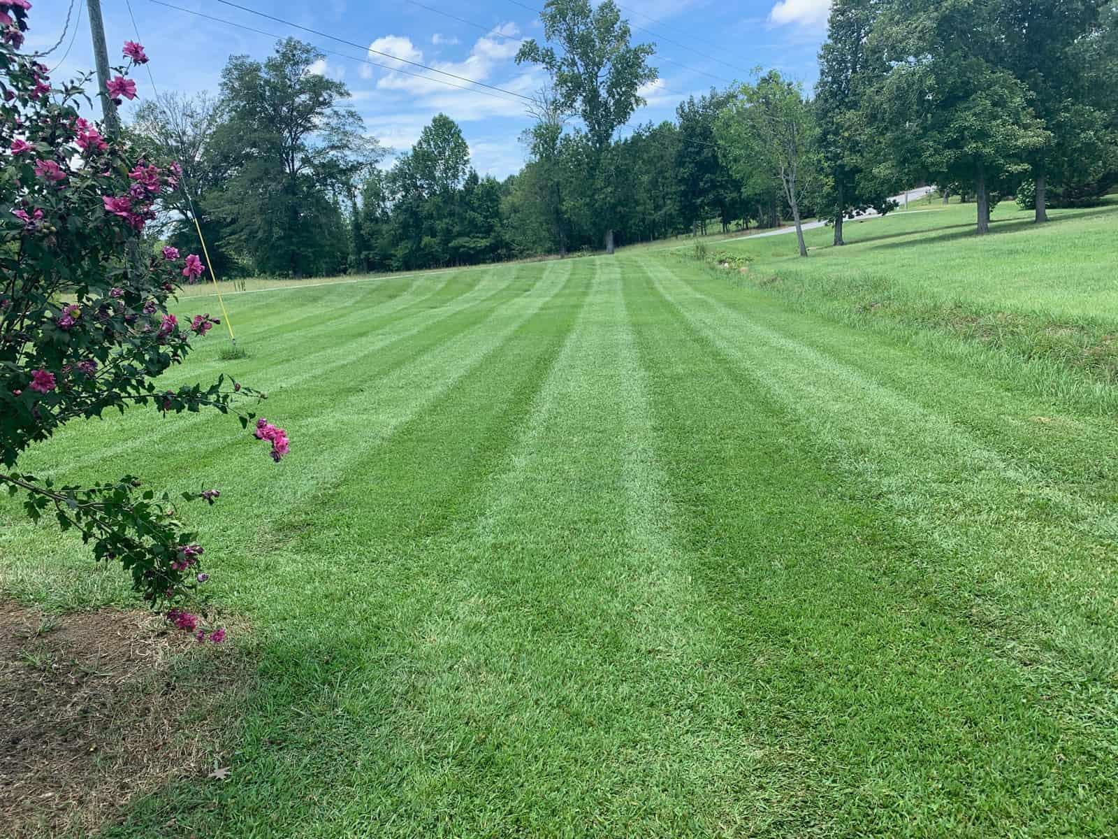 lawn care